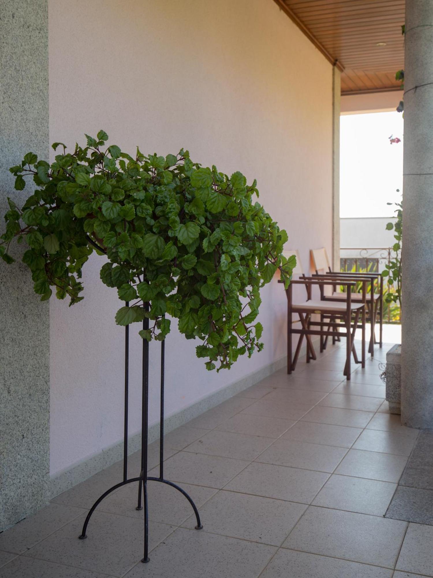 Suite Em Viana Do Castelo Exteriör bild